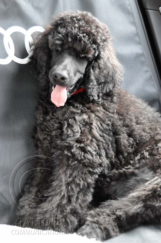 Goin' for a ride 3-29-12