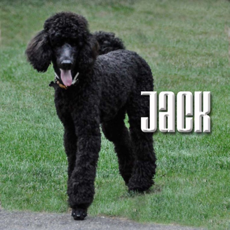 Jack