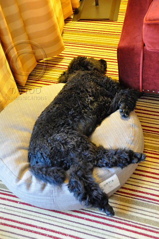 Tryin' out the hotel bed 4-28-12