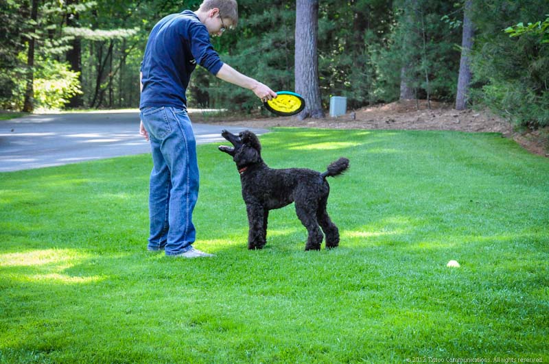 Yard play with Rog 5-25-12