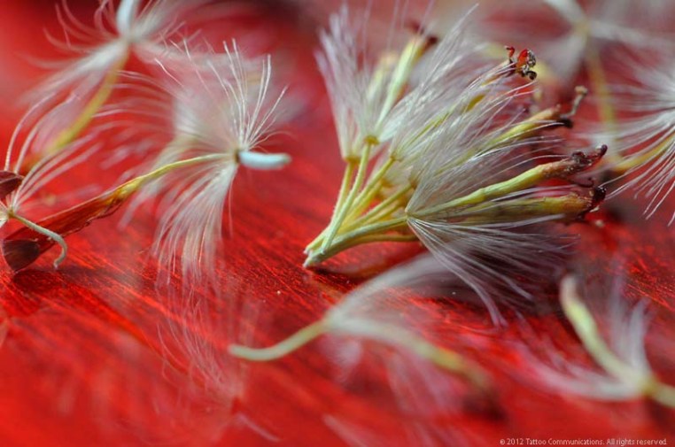 designed for dancing