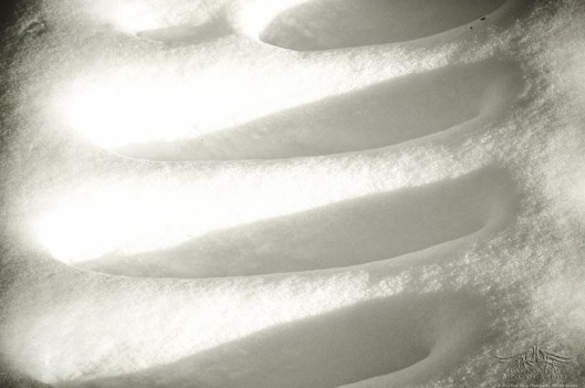 ... play tricks on the eye and mind.